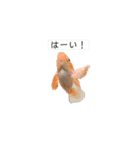 お魚さんたちの日常（個別スタンプ：18）