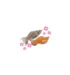 お魚さんたちの日常（個別スタンプ：24）