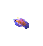 お魚さんたちの日常（個別スタンプ：26）