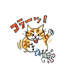 トラ猫トラリン（個別スタンプ：5）