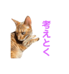 親愛なるひろむ（個別スタンプ：6）