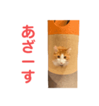 親愛なるひろむ（個別スタンプ：7）