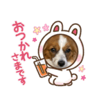 我が家のチロたん2（個別スタンプ：38）