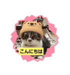 たまスタイル（個別スタンプ：13）