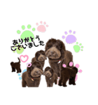 Australian Labradoodle Lutzの日常5（個別スタンプ：3）