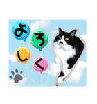 ジャビとココとLINE仲間のペットたちpart2（個別スタンプ：3）