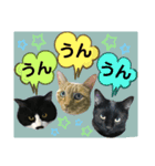 ジャビとココとLINE仲間のペットたちpart2（個別スタンプ：7）