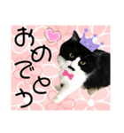 ジャビとココとLINE仲間のペットたちpart2（個別スタンプ：12）