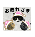 ジャビとココとLINE仲間のペットたちpart2（個別スタンプ：15）