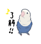 コザクラインコのおいもちゃん②（個別スタンプ：2）