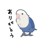 コザクラインコのおいもちゃん②（個別スタンプ：3）