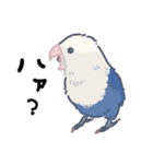 コザクラインコのおいもちゃん②（個別スタンプ：13）