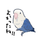 コザクラインコのおいもちゃん②（個別スタンプ：16）