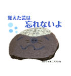 nanda zoo cookies 特徴（個別スタンプ：5）