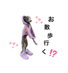 ぼくちんおじぇじぇ。イタグレだよ。（個別スタンプ：16）