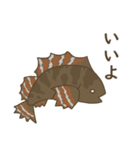 ゆるい魚たち（個別スタンプ：13）