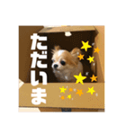 チビ＆ピノ5（個別スタンプ：2）