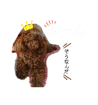 ティナのスタンプ18（個別スタンプ：2）