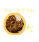 ティナのスタンプ18（個別スタンプ：4）