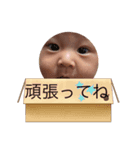 たっくん＆ほーちゃん（個別スタンプ：7）