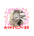 ミルクの気持ち2（個別スタンプ：3）