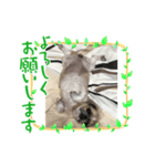 ミルクの気持ち2（個別スタンプ：4）