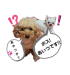 Uchamin3（個別スタンプ：6）