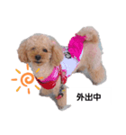 Uchamin3（個別スタンプ：8）