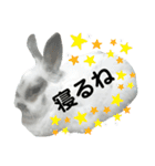 うさぎチビ2021（個別スタンプ：8）