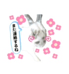 うさぎチビ2021（個別スタンプ：9）