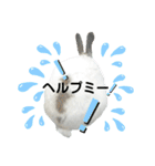 うさぎチビ2021（個別スタンプ：11）