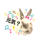うさぎチビ2021（個別スタンプ：13）