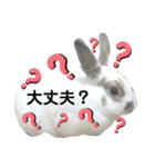 うさぎチビ2021（個別スタンプ：19）