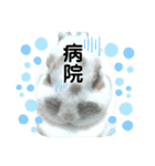 うさぎチビ2021（個別スタンプ：23）