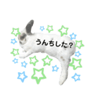 うさぎチビ2021（個別スタンプ：25）