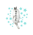 うさぎチビ2021（個別スタンプ：27）
