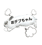 うさぎチビ2021（個別スタンプ：29）