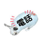 うさぎチビ2021（個別スタンプ：34）