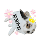 うさぎチビ2021（個別スタンプ：35）