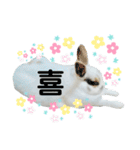 うさぎチビ2021（個別スタンプ：36）