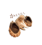我が家のおいちょまる（個別スタンプ：16）