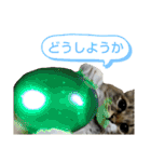いぐさ猫のスタンプ3（個別スタンプ：31）