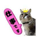 いぐさ猫のスタンプ3（個別スタンプ：35）