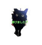 くまねこくまこ（個別スタンプ：4）