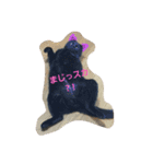 くまねこくまこ（個別スタンプ：10）