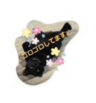 くまねこくまこ（個別スタンプ：14）