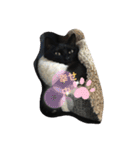 くまねこくまこ（個別スタンプ：19）