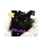くまねこくまこ（個別スタンプ：20）