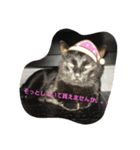 くまねこくまこ（個別スタンプ：21）