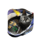 くまねこくまこ（個別スタンプ：23）